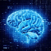 Computational Neuroscience Brain