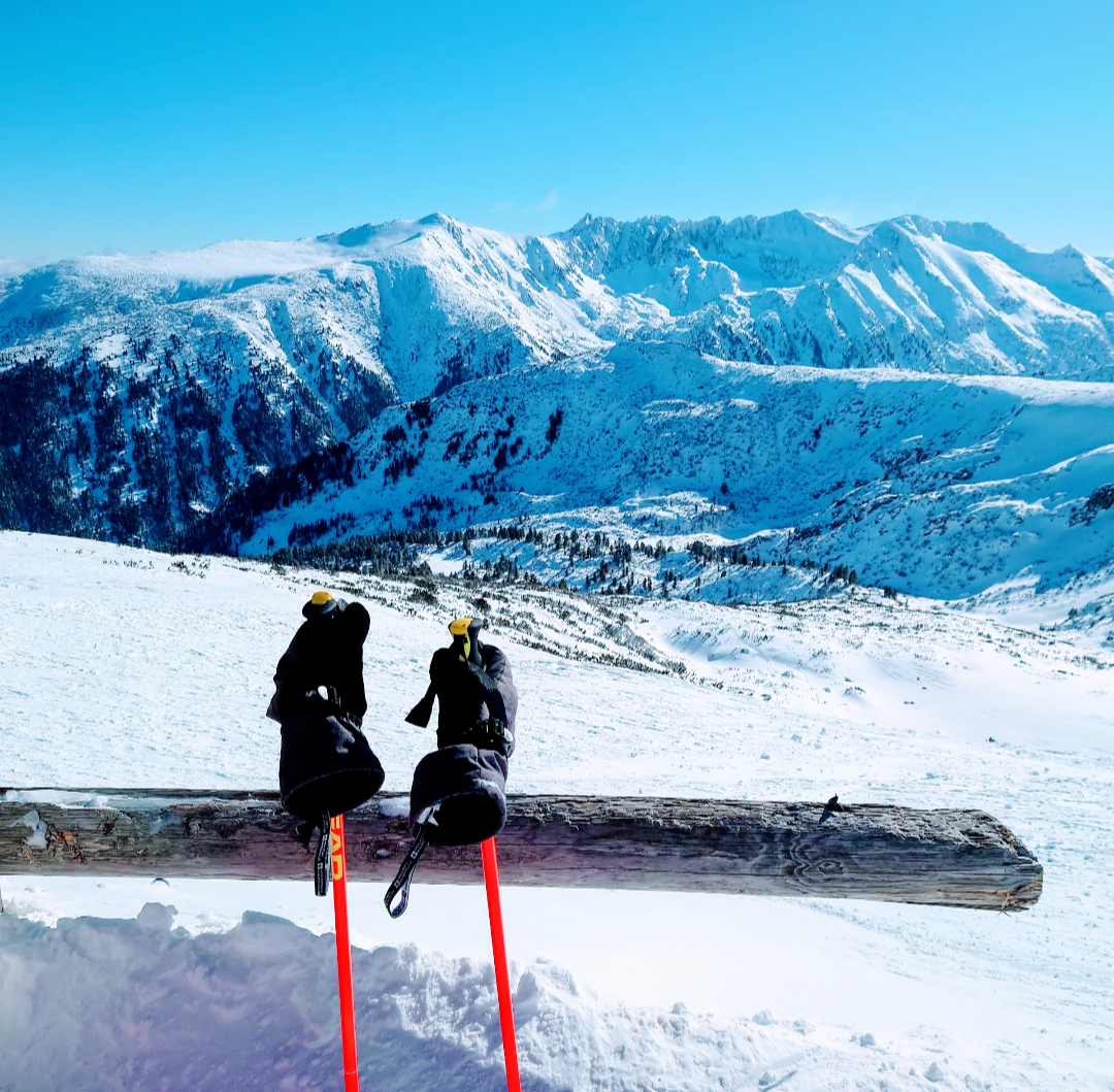 Red ski poles and gloves resting against a wooden rail above a snowy mountain valley