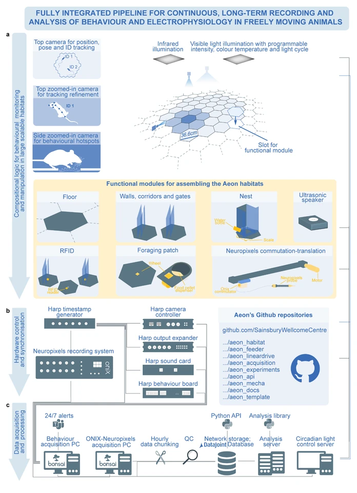Aeon pipeline overview showing modular habitats and behavioral monitoring, synchronized Harp and Neuropixels hardware, and continuous acquisition, storage, quality control, and analysis.