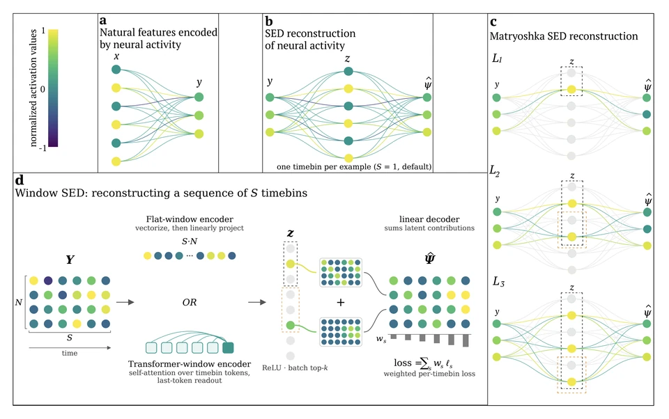 NLDisco diagrams compare natural neural features, sparse encoder–decoder reconstruction, nested Matryoshka representations, and flat or transformer encoders for sequences of time bins.