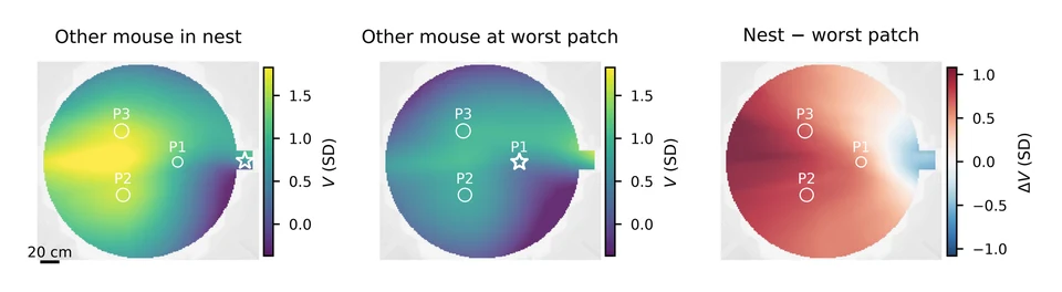 Three arena heatmaps compare learned values when the other mouse is in the nest or at the worst foraging patch, and show their difference.
