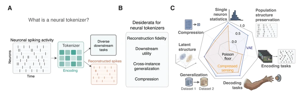 A neural spike train is encoded into tokens, reconstructed, and assessed across reconstruction, downstream tasks, statistics, and generalization.